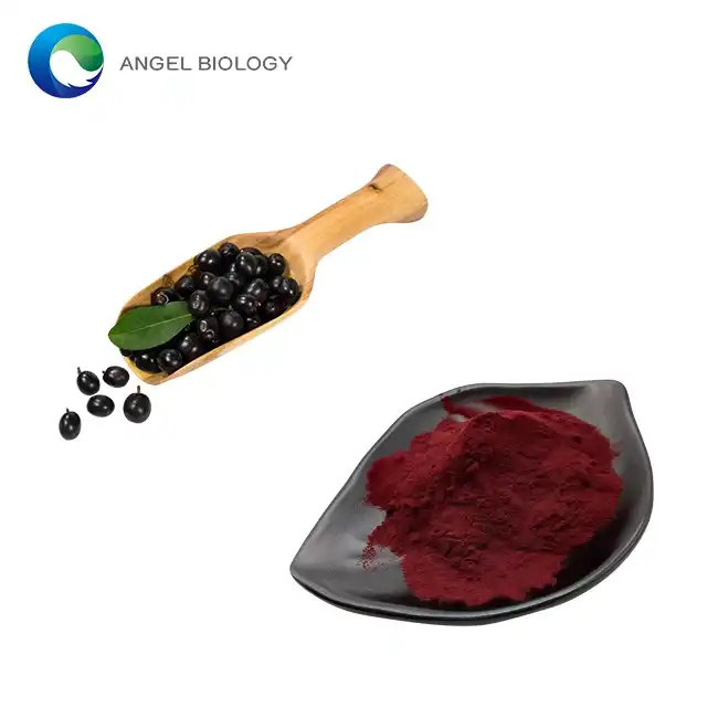 Elderberry Extract Anthocyanin Dosage: How Much Is Effective for Antioxidant Support?